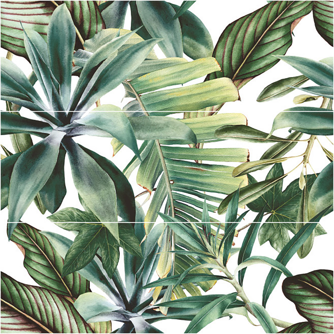 Botanical